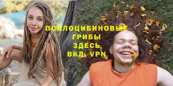 Альфа ПВП Алзамай