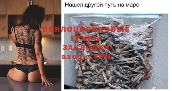 Альфа ПВП Алзамай